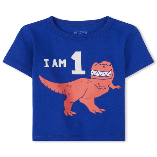 s Toddler Boys Birthday Dino 1 Graphic Tee - Blue T-Shirt - The Children's Place
s Toddler Boys Birthday Dino 1 Graphic Tee - Blue T-Shirt - The Children's Place