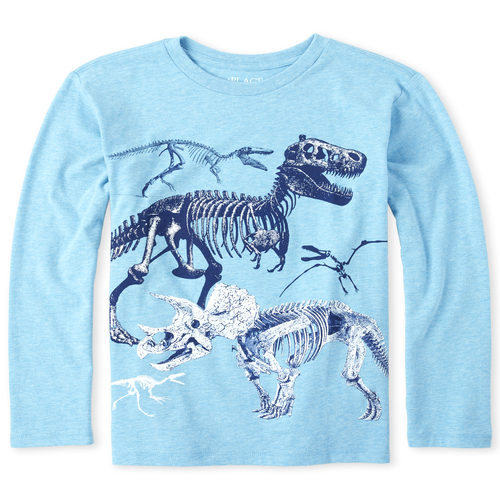

s Boys Dino Graphic Tee - Blue T-Shirt - The Children's Place