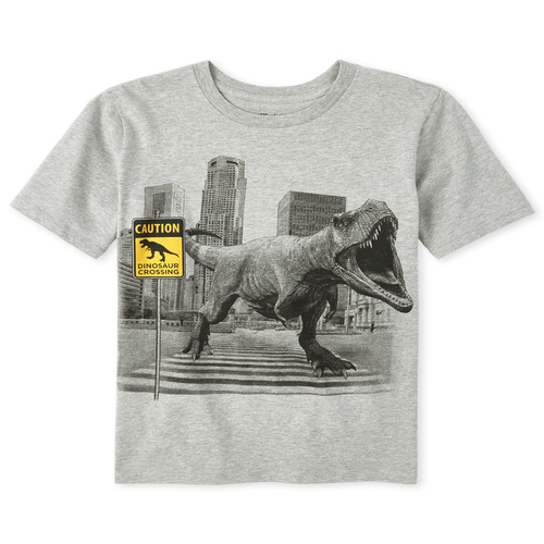 

s Boys Dino Crossing Graphic Tee - Gray T-Shirt - The Children's Place