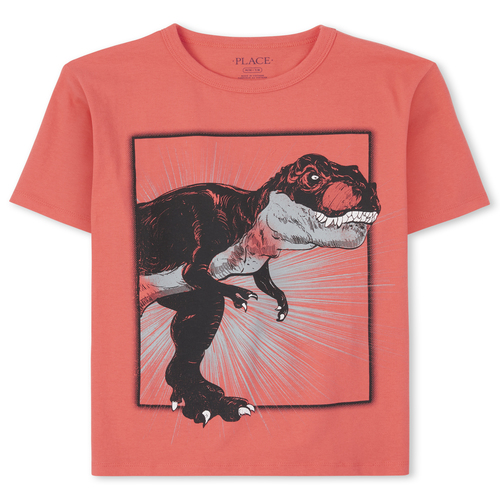 

s Boys Dino Graphic Tee - Orange T-Shirt - The Children's Place