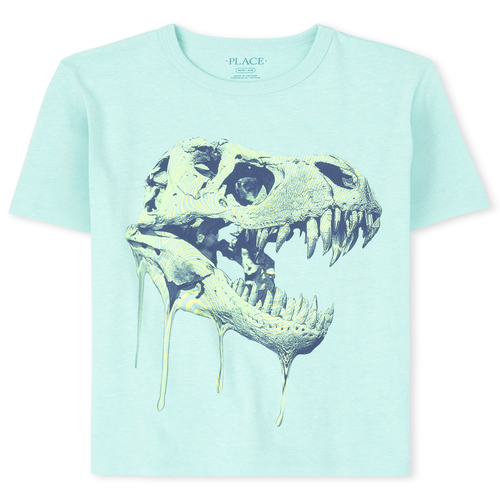 

s Boys Dino Graphic Tee - Blue T-Shirt - The Children's Place