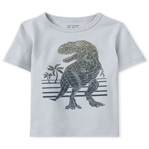 

s Baby And Toddler Boys Dino Graphic Tee - Gray T-Shirt - The Children's Place