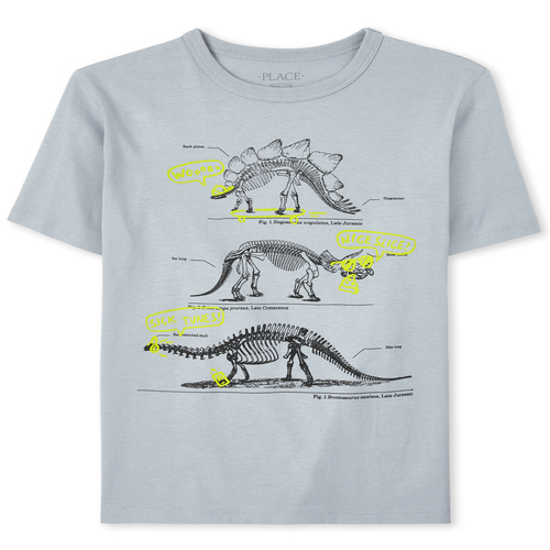 

Boys Boys Dino Graphic Tee - Gray T-Shirt - The Children's Place