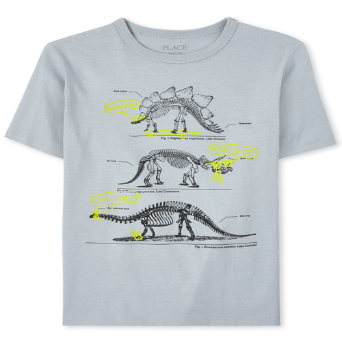 

Boys Boys Dino Graphic Tee - Gray T-Shirt - The Children's Place
