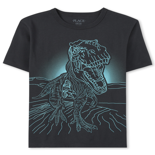 

s Boys Dino Graphic Tee - Gray T-Shirt - The Children's Place