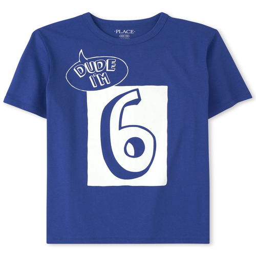 s Boys Birthday Dude I'm 6 Graphic Tee - Blue T-Shirt - The Children's Place